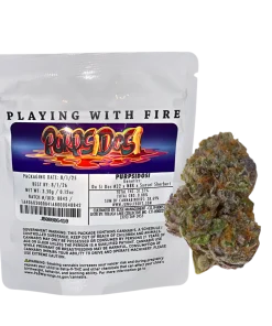 JUNGLE BOYS "PURPSIDOSI" CANNABIS FLOWER