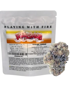 JUNGLE BOYS "FLORIDA SUNDAE" CANNABIS FLOWER