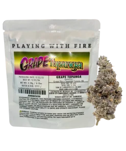 JUNGLE BOYS "GRAPE TOPANGA" CANNABIS FLOWER