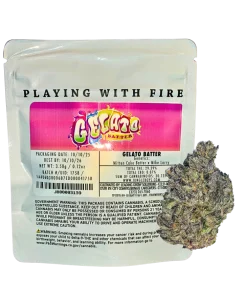 JUNGLE BOYS "GELATO BATTER" CANNABIS FLOWER