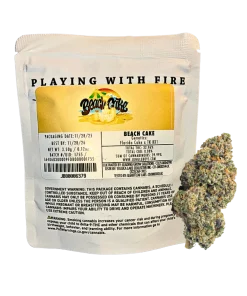 JUNGLE BOYS "BEACH CAKE" CANNABIS FLOWER