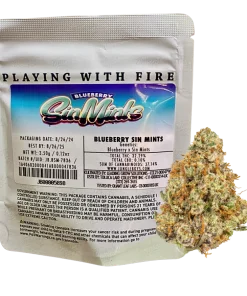 JUNGLE BOYS "BLUEBERRY SIN MINTS" CANNABIS FLOWER